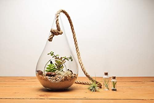 WGV Hanging Planter Terrarium, Width 7.5", Height 15", DIY Clear Glass Succulents Air Teardrop Floral Container (Including Rope), Candle Holder Vase for Outdoor Indoor Decor, 1 Piece - Image 5