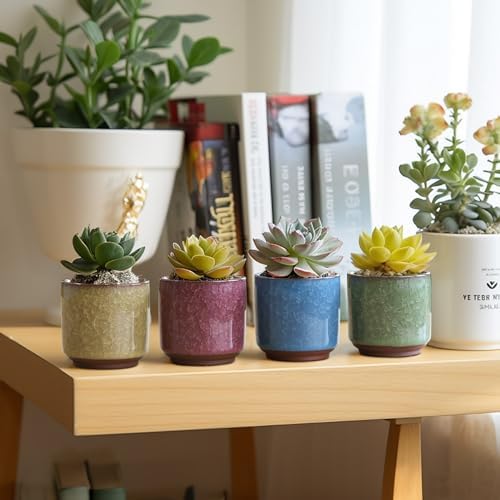 T4U Mini Succulent Pots, Small Ceramic Planters, Retro Gift Set of 12 - Image 6