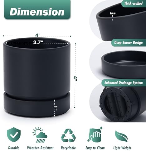 Phoenix Vine 4 Inch Planter Pot with Drainage Hole & Saucer, Deep Water Catch Tray, Straight Cylindrical Round Pot for Plants, Matte Black, Pack of 6, 23-C-R-6 - Image 2