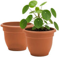 Bloem Ariana 20" Plastic Self-Watering Planter, Terra Cotta, 2-Pack by Bloem