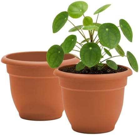 Bloem Ariana 20" Plastic Self-Watering Planter, Terra Cotta, 2-Pack by Bloem