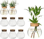Plant Propagation Station,Hydroponic Terrarium Vase,Desktop Glass Planter Station,for Houses,Garden Decorations,ropagating Hydroponic Plants,Centerpiece Office,Home Garden Decor (9) by wangsdjy