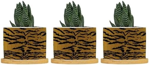 Tiger Fur Skin Ceramic Planters Animal Strip Print Planters for Indoor Plants with Drainage Holes and Saucers Pot for Succulents Cactus Garden Windowsill by BRUYU5SE