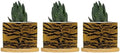 Tiger Fur Skin Ceramic Planters Animal Strip Print Planters for Indoor Plants with Drainage Holes and Saucers Pot for Succulents Cactus Garden Windowsill by BRUYU5SE