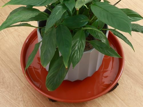 4 Packs Plant Caddy with Wheels 11.8" Plastic Rolling Plant Stands Heavy-duty Plant Dolly with Casters Indoor Outdoor Wheeled Plant Roller Base Large Planter Saucers Plant Mover - Image 7
