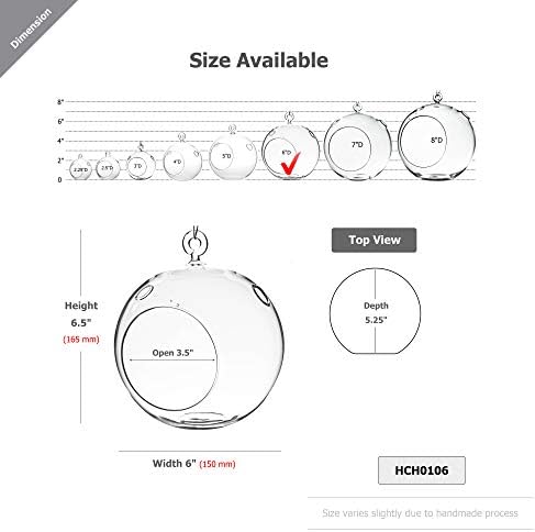 WGV Hanging Terrarium Globe, Width 6", Height 6.5", DIY Air Succulent Planter, Clear Glass Vase Orb with Flat Bottom, Candle Holder for Windowsill Outdoor Garden Decor, 6 Pieces Bulk - Image 2