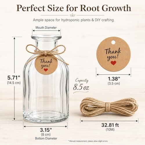 12 Pack Glass Plant Propagation Station Vases Small Jars Gifts - Image 3