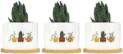 DreamAutumn Plants Ceramic Flower Pots Set of 3,Gardening Plant Pot with Drainage Holes and Saucers Round Ceramic Pots for Indoor Plants Succulent Herbs Cactus Pots - Image 6