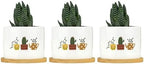 DreamAutumn Plants Ceramic Flower Pots Set of 3,Gardening Plant Pot with Drainage Holes and Saucers Round Ceramic Pots for Indoor Plants Succulent Herbs Cactus Pots - Image 6