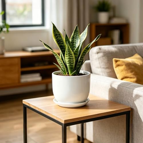 8 Inch Ceramic Plant Pot,Ceramic Planter,White - Image 6