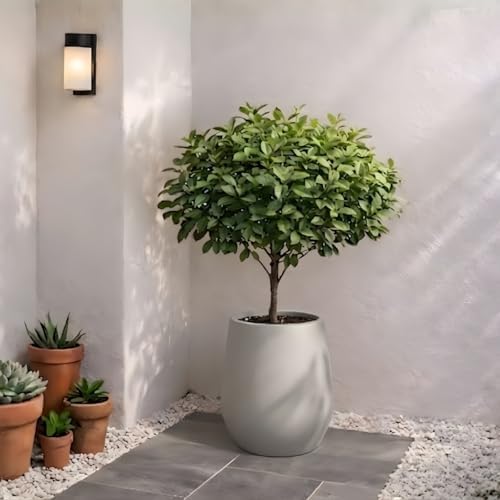 KUTE NEST 11.4" Premium Corso Fiberstone Outdoor Planter - Light Gray - Image 3