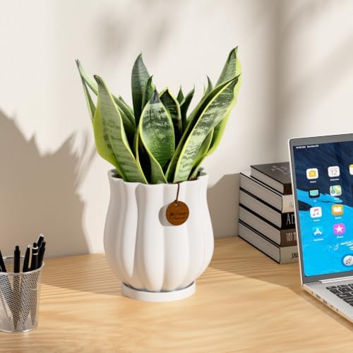 7.1" Matte White Ceramic Plant Pot with Saucer - Image 5