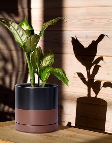 D'vine Dev 2-Pack Ceramic Pots with Saucers, 6/8 in, Black/Tan, 94-G-M-7 - Image 6