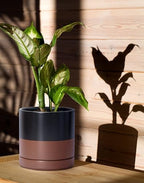 D'vine Dev 2-Pack Ceramic Pots with Saucers, 6/8 in, Black/Tan, 94-G-M-7 - Image 6