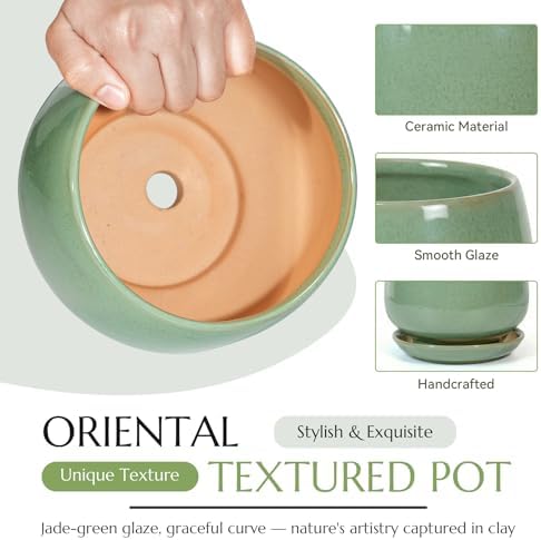 10.3 Inch Flower pots for Indoor Outdoor Plants with Saucer Drainage Leak-Proof Mesh, Ceramic Planter with Gardening Gloves for Succulent and Flower (Crackled Green) - Image 3