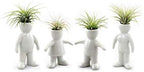 White Ceramic Man, Woman, Boy and Girl People Shaped Planters with Live Tillandsia Air Plants - 3.5"-4.75" Potted Indoor Air Plants for Home and Office Decor by NWWholesaler