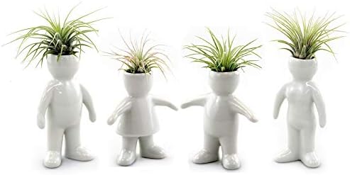 White Ceramic Man, Woman, Boy and Girl People Shaped Planters with Live Tillandsia Air Plants - 3.5"-4.75" Potted Indoor Air Plants for Home and Office Decor by NWWholesaler
