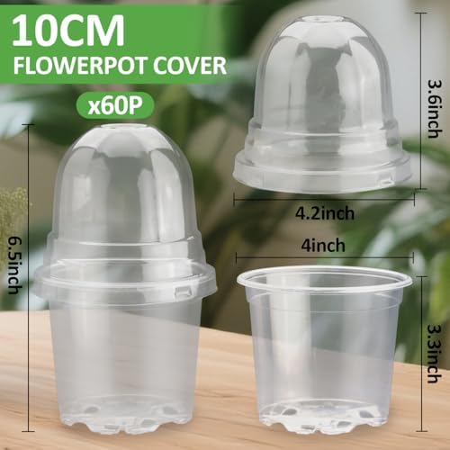 RooTrimmer 60 Pack Clear Nursery Pots with Humidity Domes, 4 Inch Plastic Plant Pots with Drainage Holes for Seedlings, Transparent Seed Starting Pot for Cuttings Propagation Indoor Gardening - Image 5
