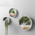 3 Pack Set Wall Planters,Modern Round Glass Wall Planter Succulent Planter Circle Iron Hanging Planter Vase for Herb,Small Cactus Perfect for Balcony, Room and Patio Decor (White) by VEVLU