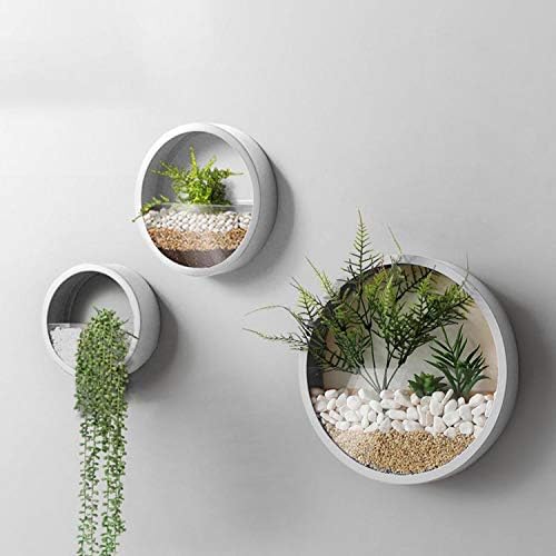 3 Pack Set Wall Planters,Modern Round Glass Wall Planter Succulent Planter Circle Iron Hanging Planter Vase for Herb,Small Cactus Perfect for Balcony, Room and Patio Decor (White) by VEVLU