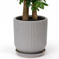 Deep Dream 12 Inch Ceramic Pots for Plants, Heavy Plant Pot for Indoor Outdoor Plants, Large Plant Pot with Drainage Hole and Saucer, Modern Tall Flower Pot, Gifts for Plant Lovers, Grey by DeepDream