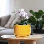 G EPGardening Ceramic Pots for Plants, 7 Inch Plant Pot, Yellow - Image 2