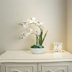 Large Silk Potted Orchid Arrangement in Oval Ribbed Ceramic Pot, White - Image 3