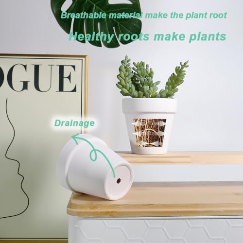 vensovo 3 Inch White Terracotta & Clay Pot with Drainage, 20 Pack - Image 5