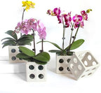 Gnliny Ceramic Orchid Pot, 4" Cube Breathable Planter for Air Plants, White - Image 3