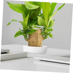 UPKOCH 4sets Plant Saucer Ceramic Plant Pot Trays Heavy Duty Drip Trays Indoor Set 2pcs*4 - Image 7