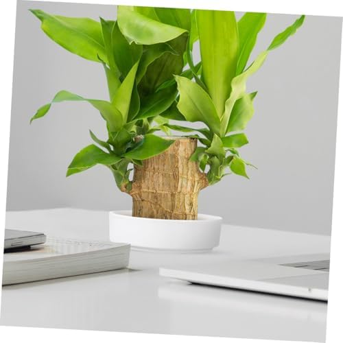 UPKOCH 4sets Plant Saucer Ceramic Plant Pot Trays Heavy Duty Drip Trays Indoor Set 2pcs*4 - Image 7