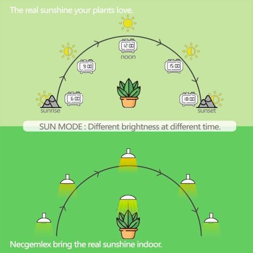 Smart LED PAR38 Grow Light, Dimmable, Sun Mode Dimming - Mimics Real Sunshine, Daily Run Auto Timer, Remote Control - Full Spectrum for Indoor Plant Growth - Image 4
