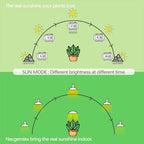 Smart LED PAR38 Grow Light, Dimmable, Sun Mode Dimming - Mimics Real Sunshine, Daily Run Auto Timer, Remote Control - Full Spectrum for Indoor Plant Growth - Image 4