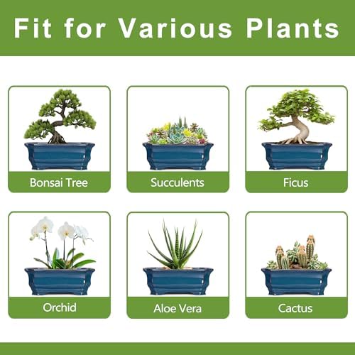 Bonsai Pots 11.6 Inch - Ceramic Succulent Pots with Drainage Hole, Rectangular Planter for Indoor Outdoor, Decorative Ceramic Flower Pot, Home Garden Room Decor, Plant Lover Gifts, Retro Blue - Image 7