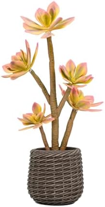 Artificial Succulents Plants 2ft, Yellow Fake Cactus Plant with Brown Pot, Large Faux Floor Plant UV-Resistant for Home Office Hotel Patio Balcony or Garden Indoor Outdoor Desert Decor by Keeplush