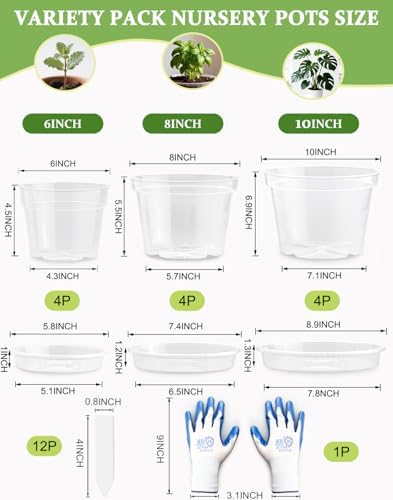 10/8/6 Inch Clear Plant Pots with Drainage Hole 12 Pack, Transparent Sturdy Plastic Nursery Pots with Saucers, Plant Label, Gardening Gloves, Plant Starter Pots for Planting Seed Herb Vegetable Flower - Image 2