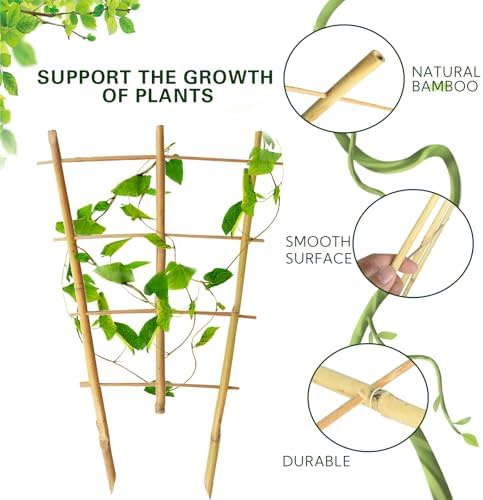 Bamboo Trellis 4FT, S3 Natural Bamboo Plant Fan Stakes 48 Inch 10 Pack, Fan-Shaped Plant Support Stand for Orchid Vines, Monarchs, Ivy and Other Plants Climbing, Help Plant Growth - Image 3