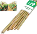 Natural Bamboo Plant Stakes (6ft-50pcs) by Groovboo