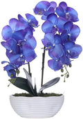 Large Artificial Orchid Arrangement in Oval Ribbed Ceramic Pot, Purple Blue by YSZL