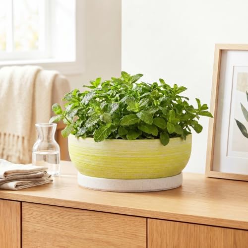 10 Inch Ceramic Bonsai Planter with Saucer, Brushed Yellow - Image 6
