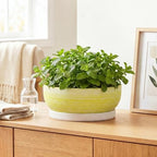 10 Inch Ceramic Bonsai Planter with Saucer, Brushed Yellow - Image 6