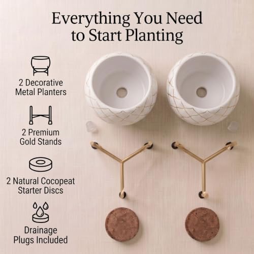Metal Indoor Planter for Succulents with Drainage Hole and Cocopeat Disc, Set of 2 for Home Decor. (White & Gold) - Image 4