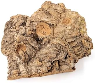 Air Plant Shop Medium Tabletop Cork Bark Display with 3 Tillandsia Air Plants - Wholesale and Bulk - Succulents - Live Tillandsia - Easy Care Indoor and Outdoor House Plants - Image 3