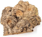 Air Plant Shop Medium Tabletop Cork Bark Display with 3 Tillandsia Air Plants - Wholesale and Bulk - Succulents - Live Tillandsia - Easy Care Indoor and Outdoor House Plants - Image 3