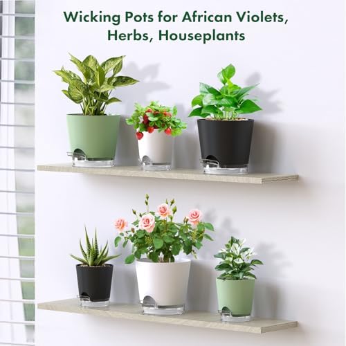 Meowell Self Watering Pots Set of 7 – Assorted Size 4" to 8" Indoor Plant Pots with Drainage Holes and Clear Reservoir for Visible Water Level, Plastic Wicking Planter for House Plants & Flower, Black - Image 7