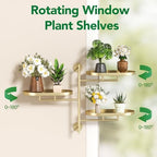 Window Plant Shelf, Wall Mounted Rotating Plant Holder Indoor - Image 6