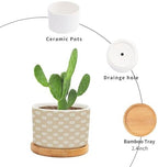 Timur in Blue Background Ceramic Planter Geometric Modern Pots for Plants with Drainage Holes and Saucers Pot for Home Office Decoration - Image 3