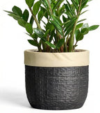 9.8 Inch Planter, Ceramic Pots for Plants, Round Flower Pots, Black by Teagas