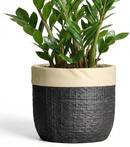 9.8 Inch Planter, Ceramic Pots for Plants, Round Flower Pots, Black by Teagas