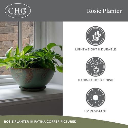Classic Home and Garden Rosie Modern Planter w/Drainage - Contemporary Planter Bowls - Shallow Round Vases for Small Plants - Versatile Indoor & Outdoor Pots (10” Patina Copper) - Image 4